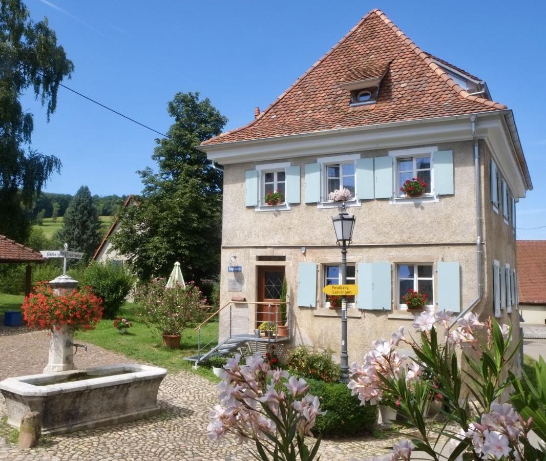Ferienhaus Zur Alten Dame Badenweiler Exteriér fotografie